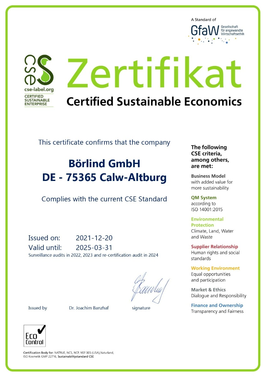 2021-04-13_Zertifikat-CSE-B_rlind_en_-_Version_1_page-0001-min